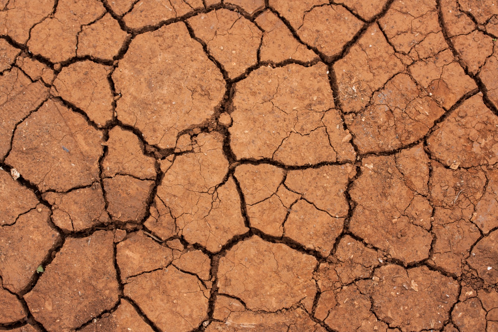 نتائج‭ ‬الاستشارة‭ ‬المواطِنة‭ ‬المنظمة‭ ‬على‭ ‬المنصة‭ ‬الرقمية‭ ‬‮«‬أشارك‮»‬‭ ‬حول‭ ‬‮«‬تدبير‭ ‬الأزمات‭ ‬المتعلقة‭ ‬بالجفاف‮»‬